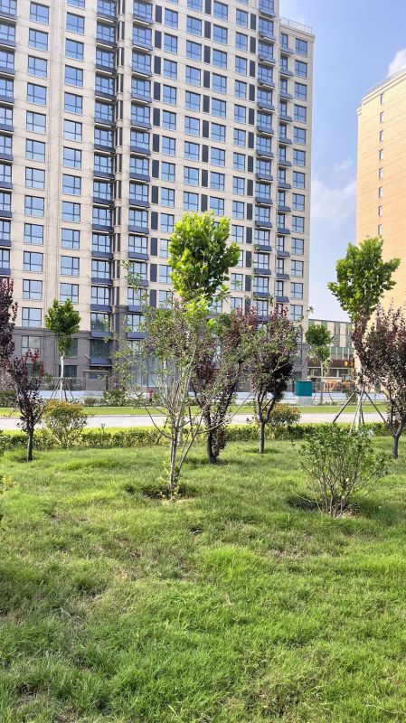 毛坯3室2廳2衛(wèi)119m280萬元