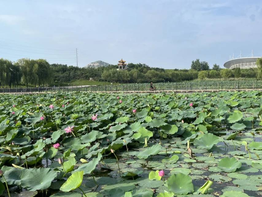 普通裝修3室1廳1衛(wèi)80m2850元/月