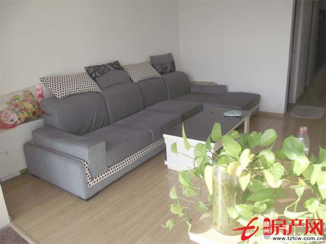 急租急租??！