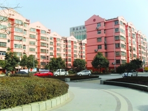 新興南區(qū)，三室一廳