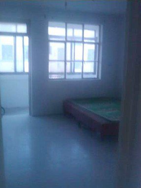 市中心華棉宿舍（清河灣西邊多層）