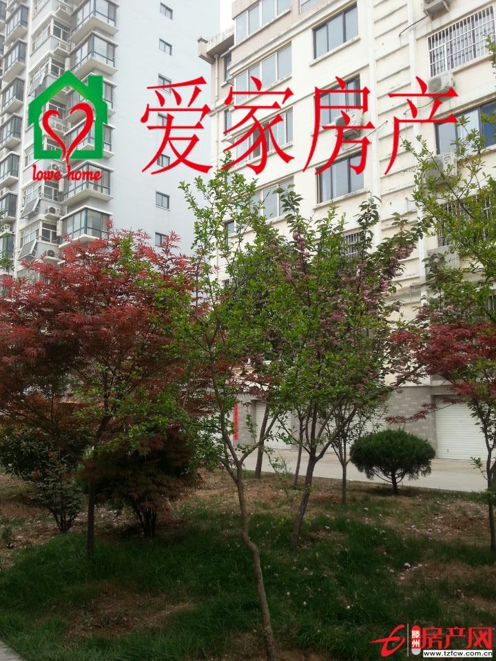 荊善南苑升值空間大，交通便利，有暖氣