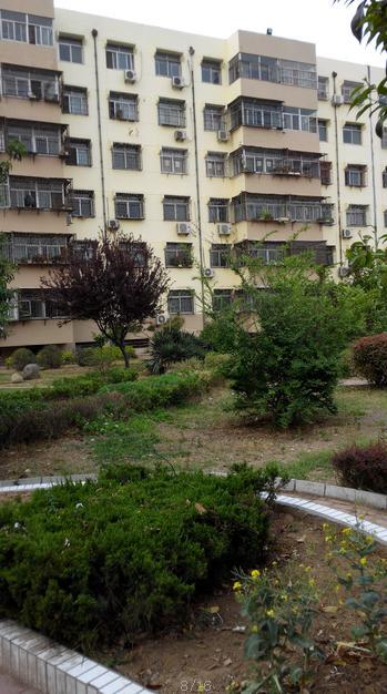 善南小區(qū)二樓低價出售