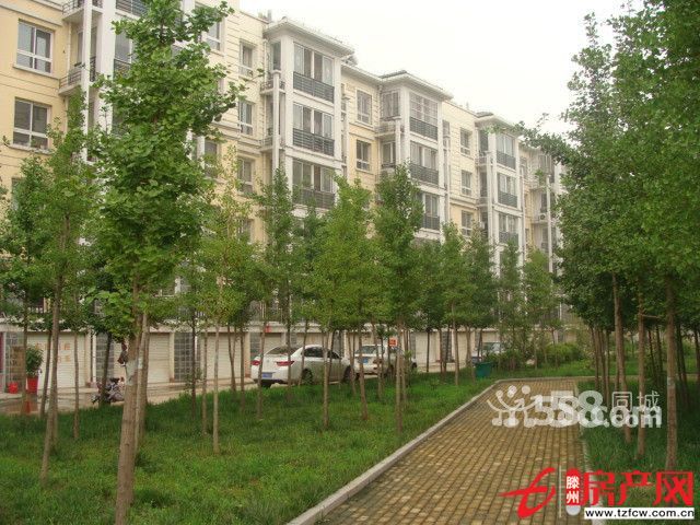 金色家園黃金樓層精心裝修急售