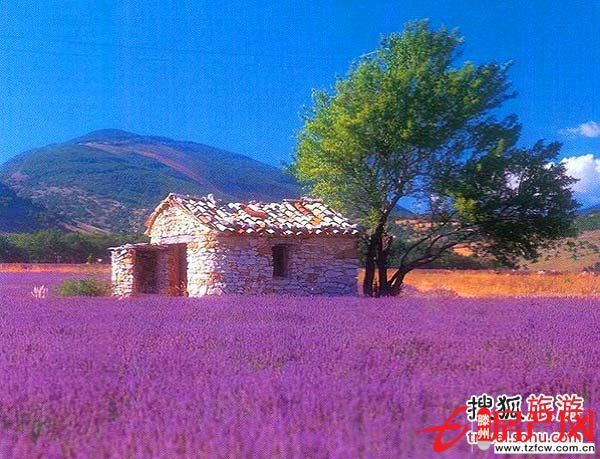 總價(jià)低單價(jià)低的優(yōu)質(zhì)房安樂組團(tuán)剛需人士首選超好的地理位置