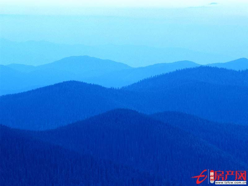 善國大橋南荊善安居小區(qū)