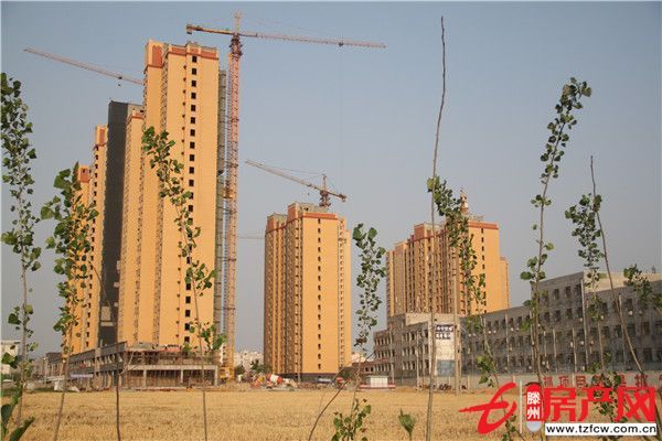 陽光國際單身寓