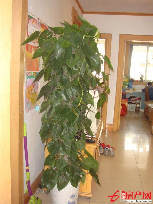 出租龍泉苑小區(qū)房，拎包即住設施齊全