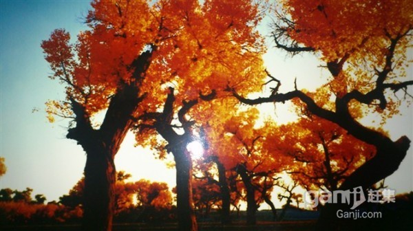 魯東小區(qū)三室一廳滿五年集中供暖戶型很棒采光極佳