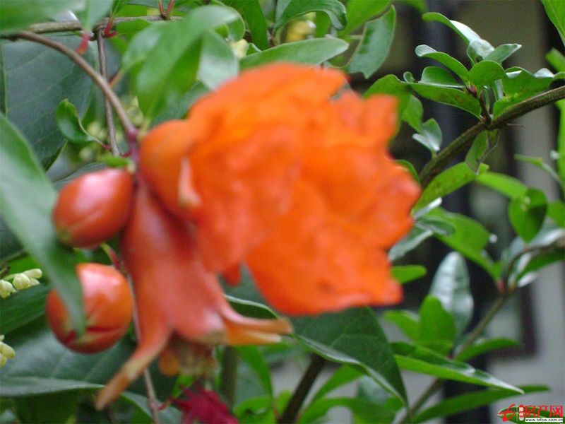 學(xué)區(qū)房陽(yáng)光國(guó)際小區(qū)學(xué)生一號(hào)公寓出租（新滕州一中東校對(duì)過(guò)）