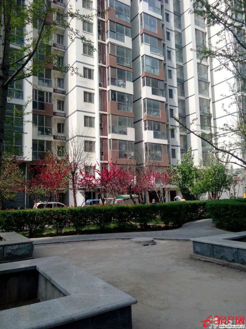 人和藍灣學區(qū)房家具全拎包就住