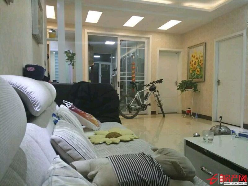 豪華裝修全套全新高檔家具電器