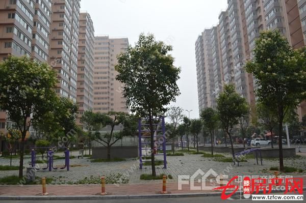 問天三期簡裝、環(huán)境優(yōu)雅【全款】