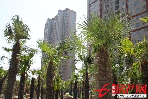 狀元府優(yōu)惠房，售樓處手續(xù)，可貸款，正常首付。