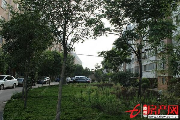 荊善安居，簡單裝修，證滿五年，需全款，儲藏室。