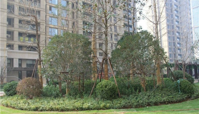 星尚城，好樓層，環(huán)境優(yōu)美，上房費已繳清。