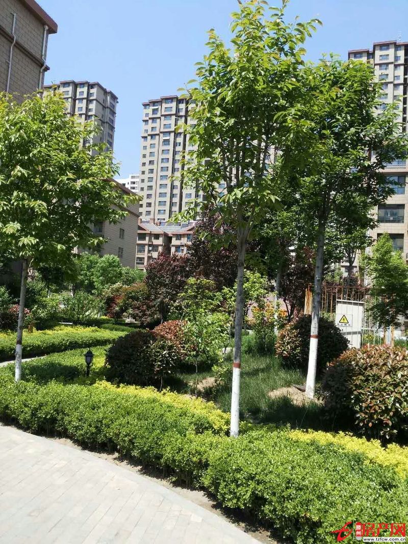 善南小區(qū)多層高，簡(jiǎn)裝，有證，含儲(chǔ)有暖