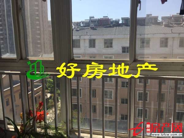 陽(yáng)光麗景證滿四可貸兩室向陽(yáng)戶型方正看房方便