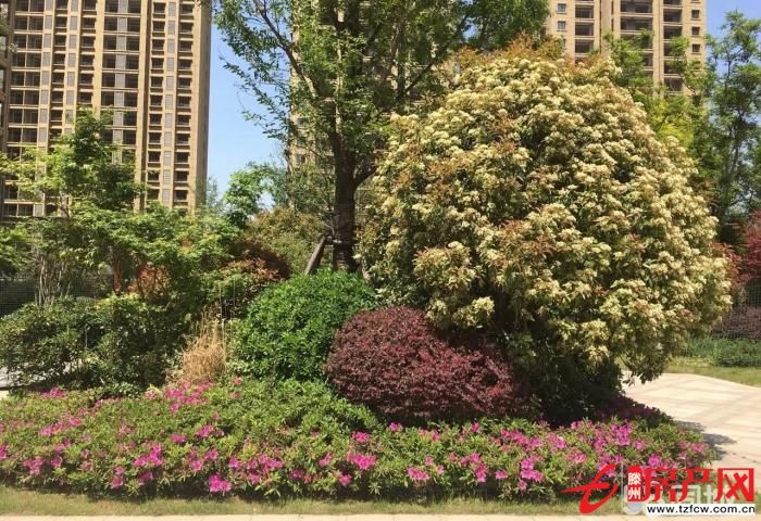 金河灣兩室兩廳好樓層實(shí)驗(yàn)小學(xué)學(xué)區(qū)房，荊河公園對(duì)面，全款