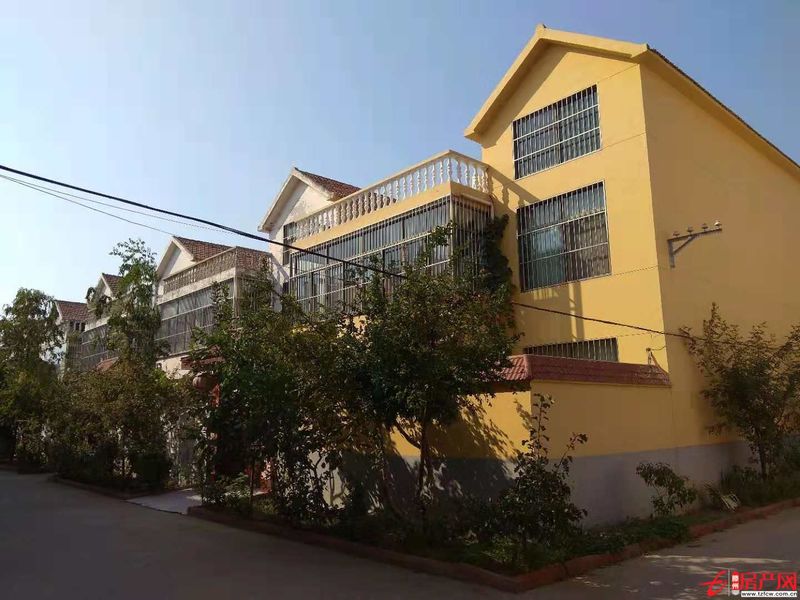 周樓聯(lián)排別墅