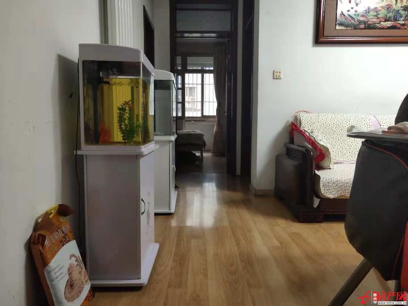 新出北安居三好戶型  隨時(shí)看房！房東急售！