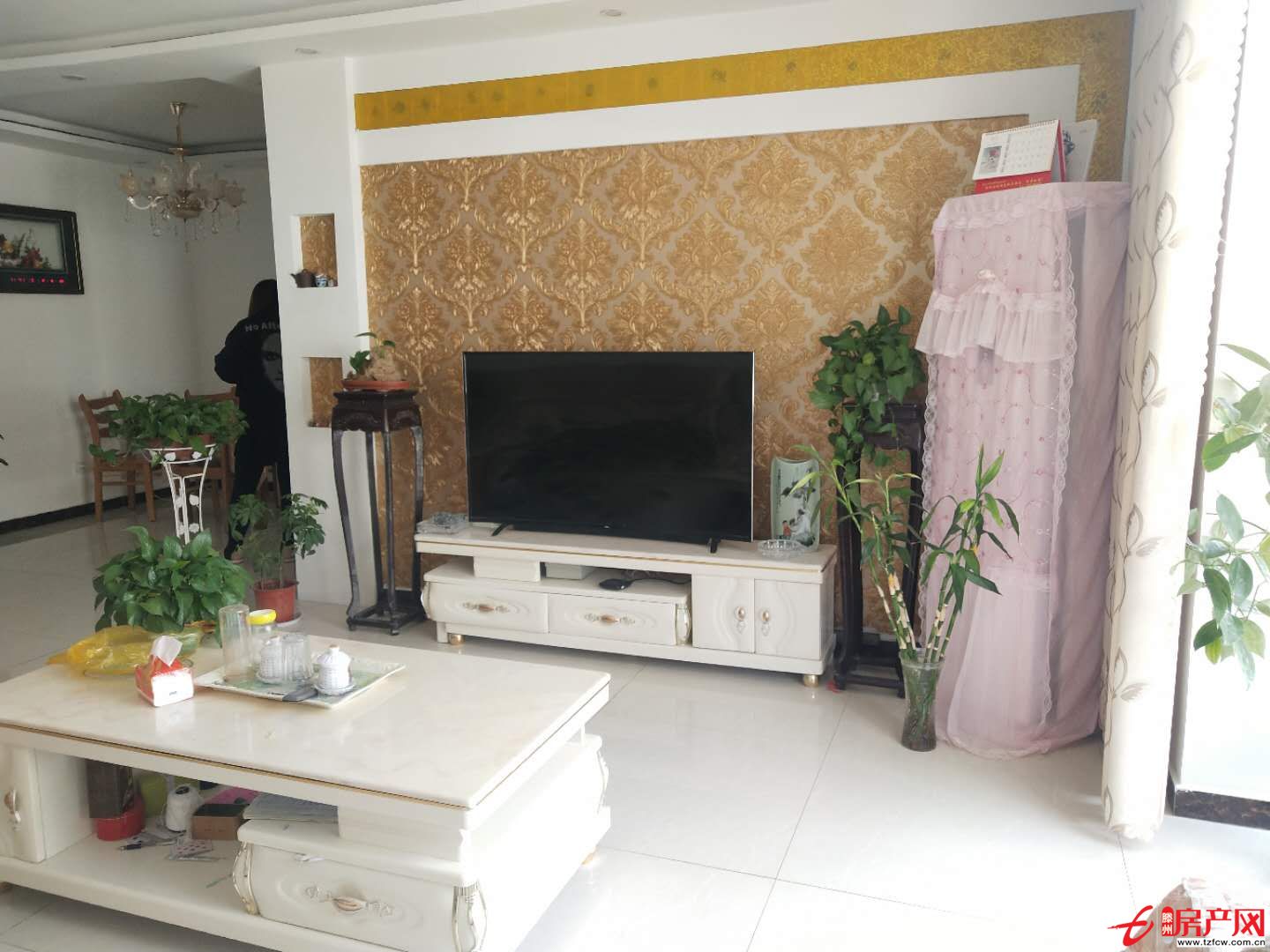 威尼斯3室2廳 精裝修可貸款 送儲藏室 實驗小區(qū)滕南