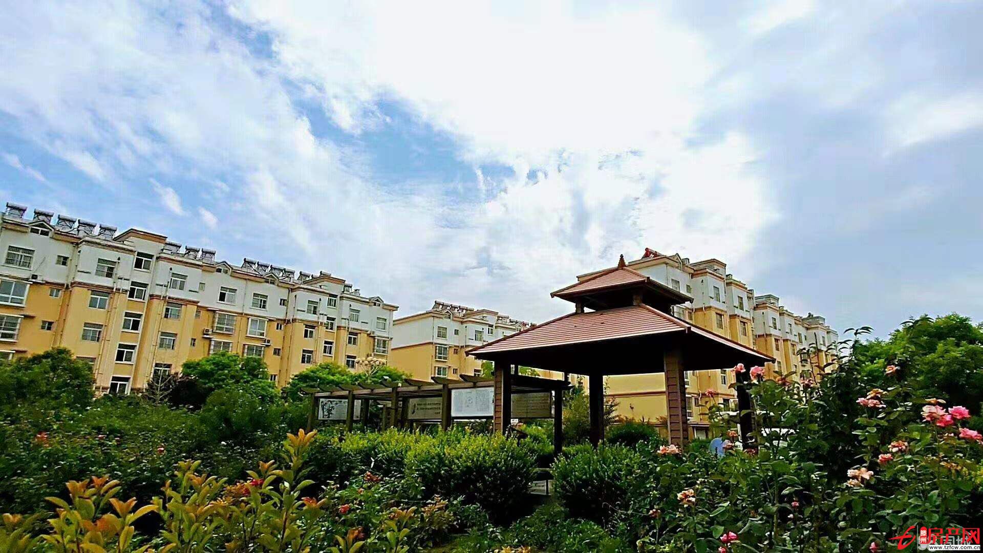 趙溝社區(qū)，四樓東戶，低價(jià)出售，機(jī)不可失