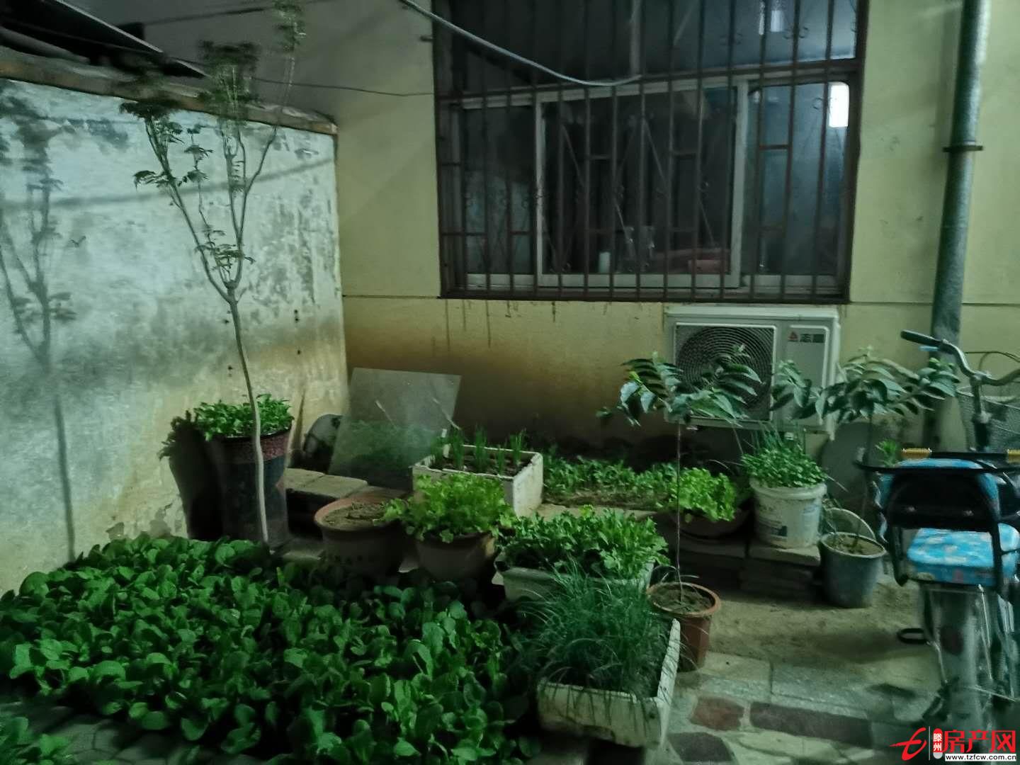 金城小區(qū)一樓帶院精裝修設(shè)施齊全戶型方正送儲(chǔ)藏室正滿五過戶費(fèi)低