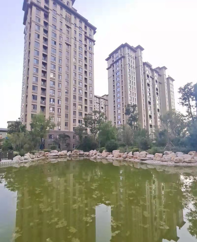 滕北、東城名景小區(qū)、多層電梯洋房真心出售