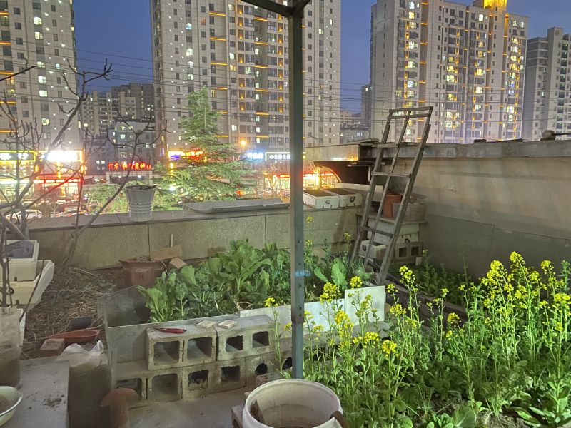 涵翠苑B區(qū)  精裝修送平臺3室2廳1衛(wèi)116m299.8萬元